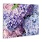 Stupell Industries Pastel Hydrangea Flower Petals Canvas Wall Art